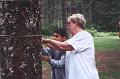 Anne measuring DBH (diameter at breast height) with student